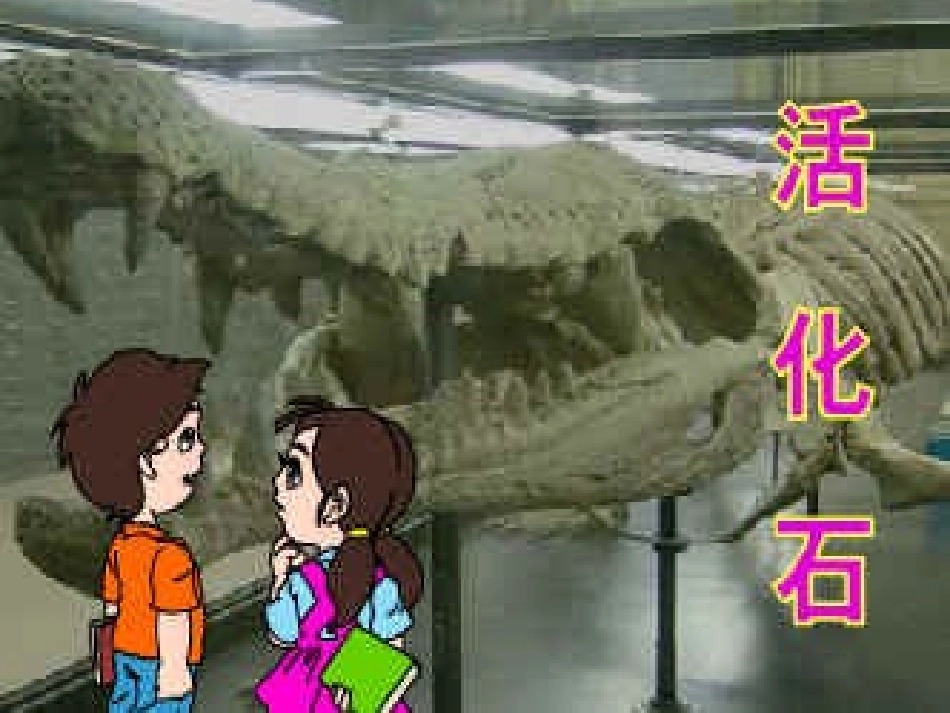 33活化石课件(第二课时)_第1页