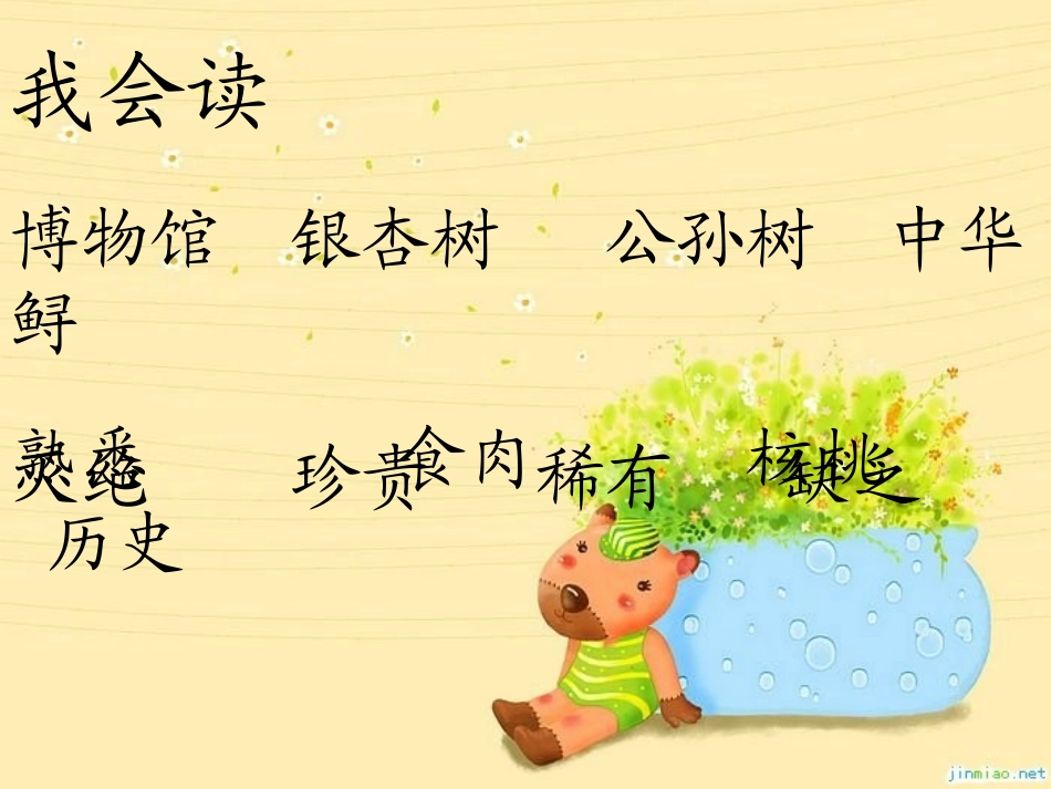 33活化石课件(第二课时)_第2页