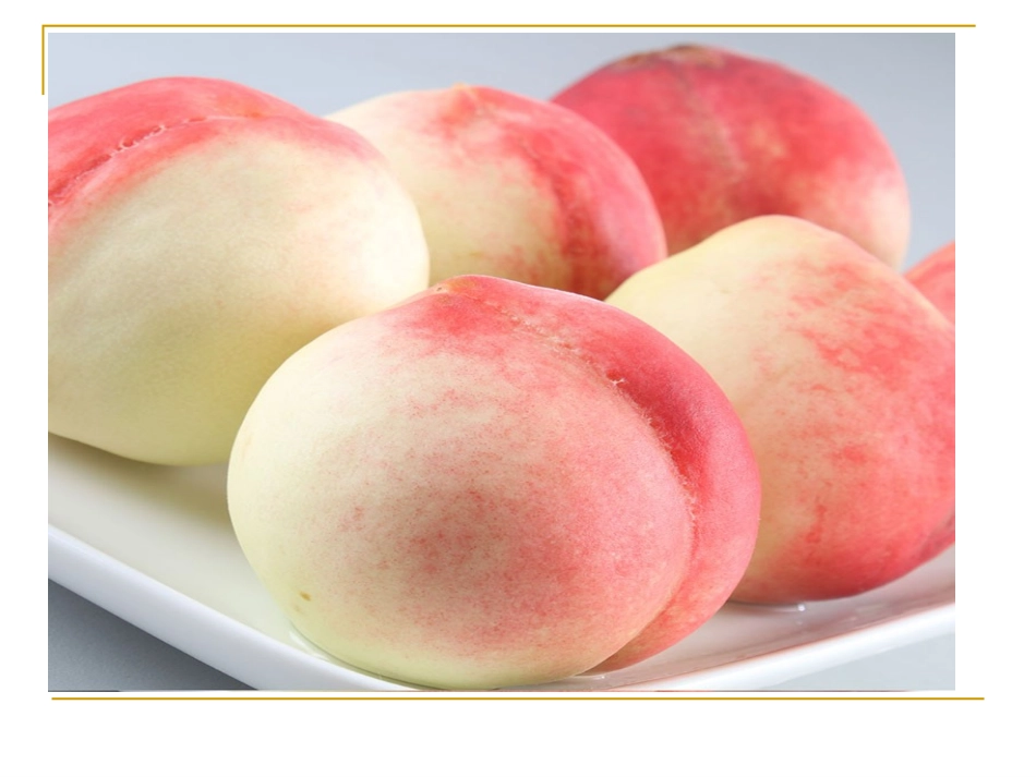 石油的炼制乙烯_第3页