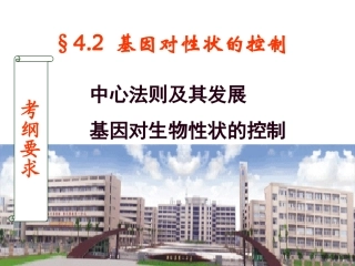 公开课-第2节基因对性状的控制