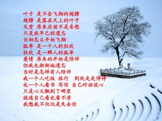 湖心亭看雪3