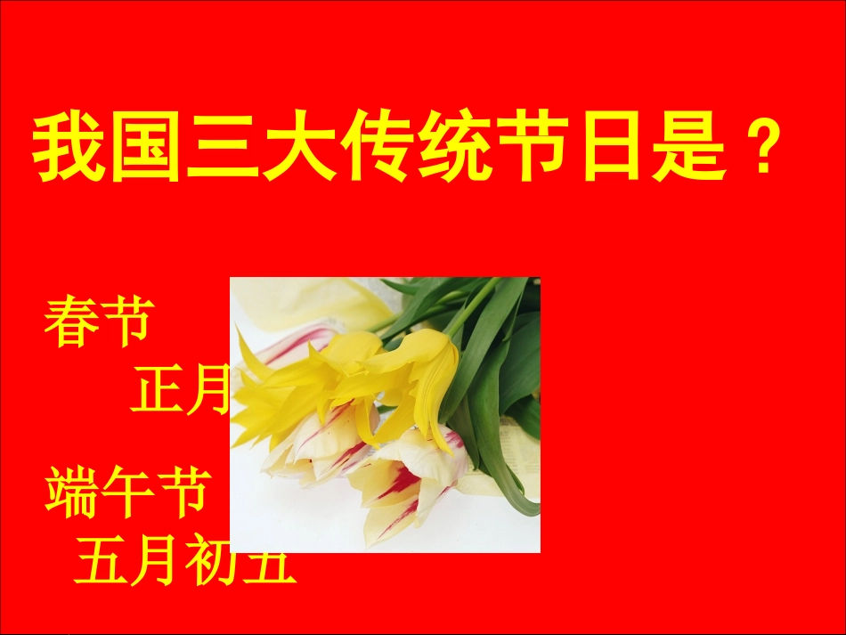 《端午日》晒课ppt_第1页