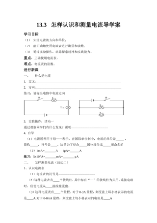 13.3怎样认识和测量电流