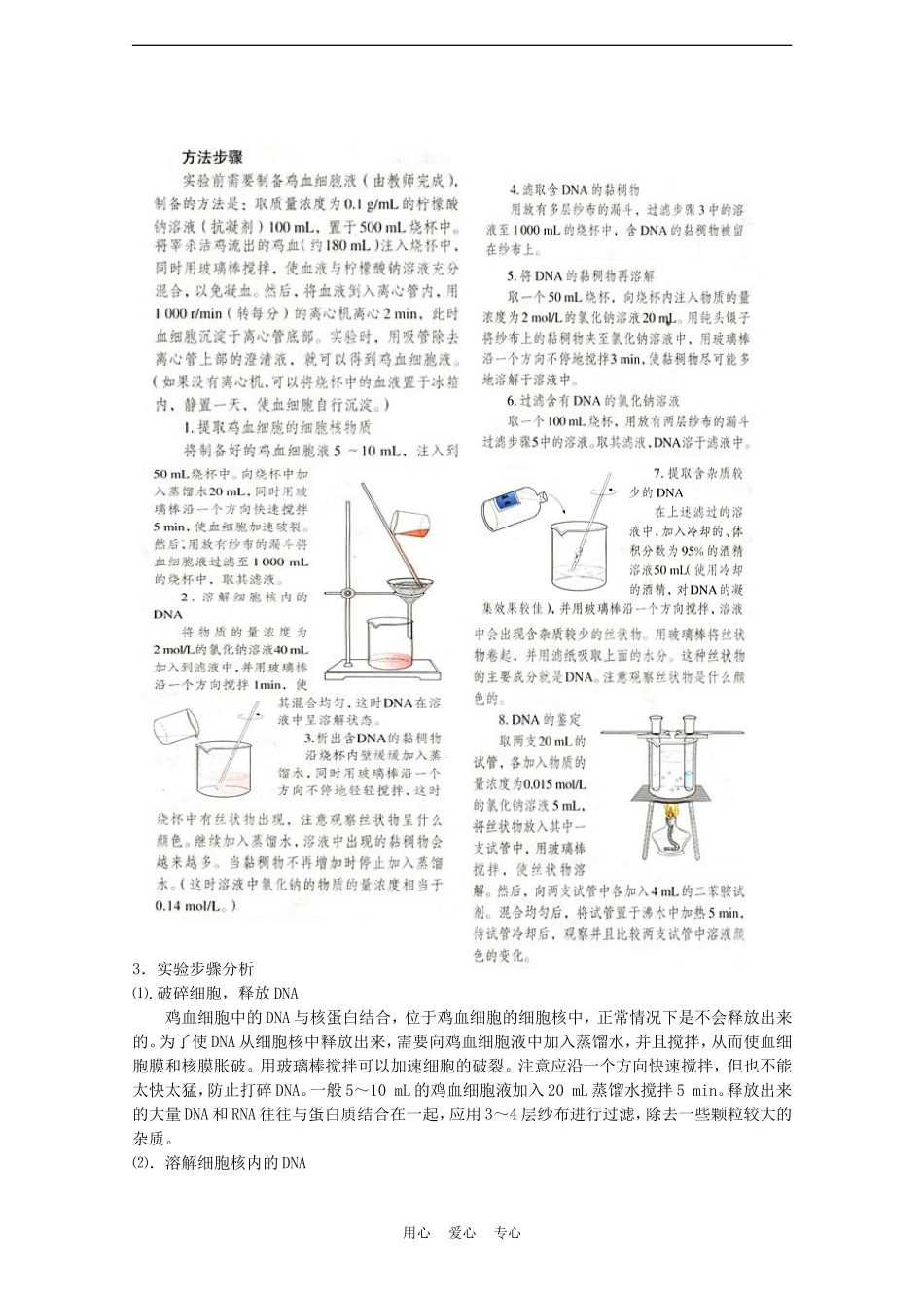 高中生物《DNA的粗提取与鉴定》学案3-新人教版选修1_第3页