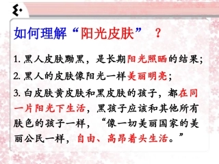 《阳光皮肤》“阳光皮肤”理解