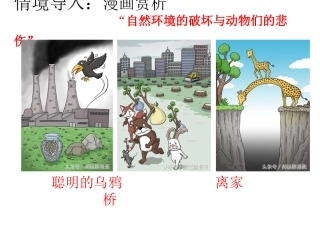 2-环境伦理的原则和规范