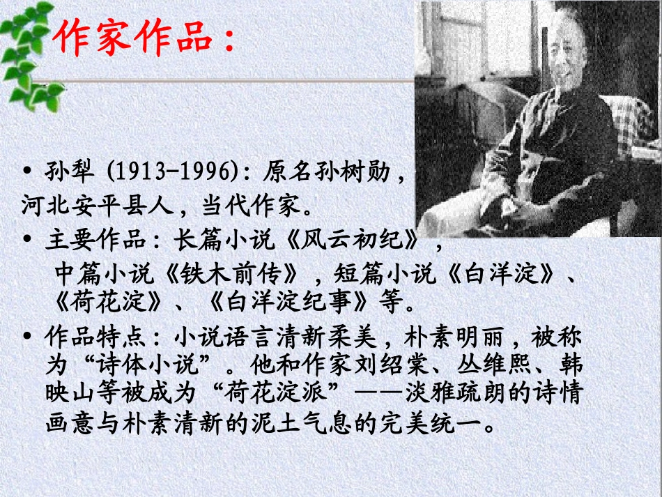 12、荷花淀_第3页