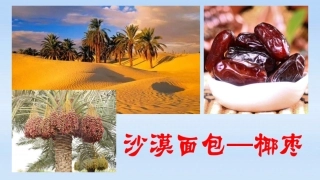 专栏：以色列的节水农业