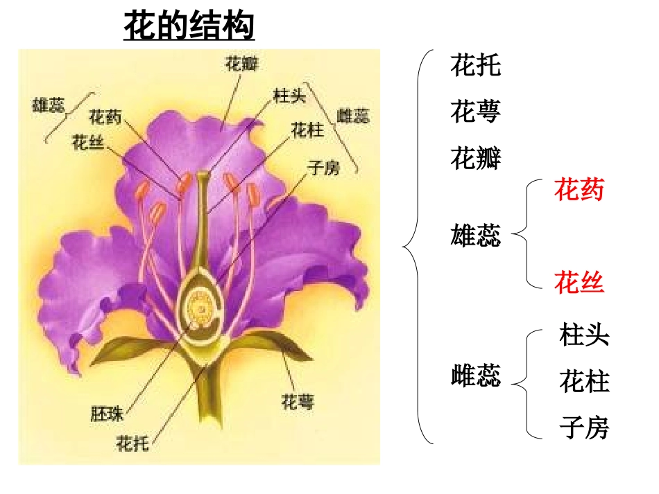 课题2-月季的花药培养-(3)_第3页