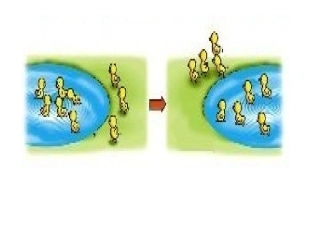 小学数学人教2011课标版一年级看图列式