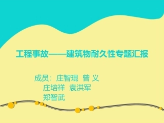 工程事故--建筑物耐久性专题汇报