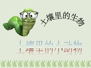 第1节土壤里的小动物