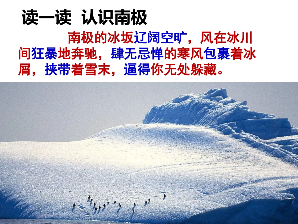 10企鹅爸爸_第3页