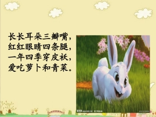 习作：奇妙的想象