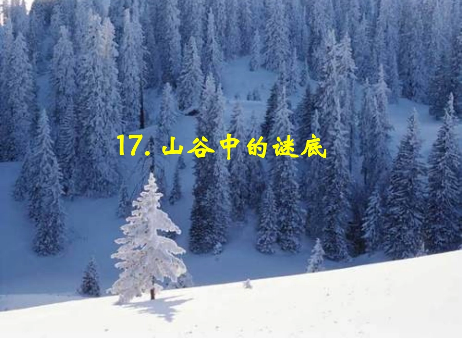 山谷中的谜底_第1页