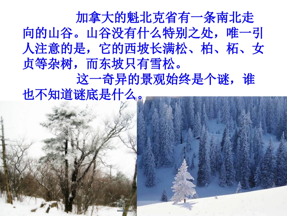 山谷中的谜底_第3页