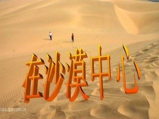 在沙漠中心533.