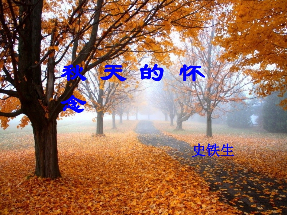 《秋天的怀念》课件18_第1页