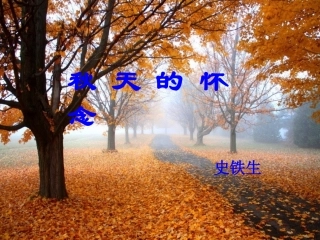 《秋天的怀念》课件18