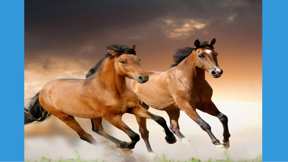 13-我能行-(6)_第3页