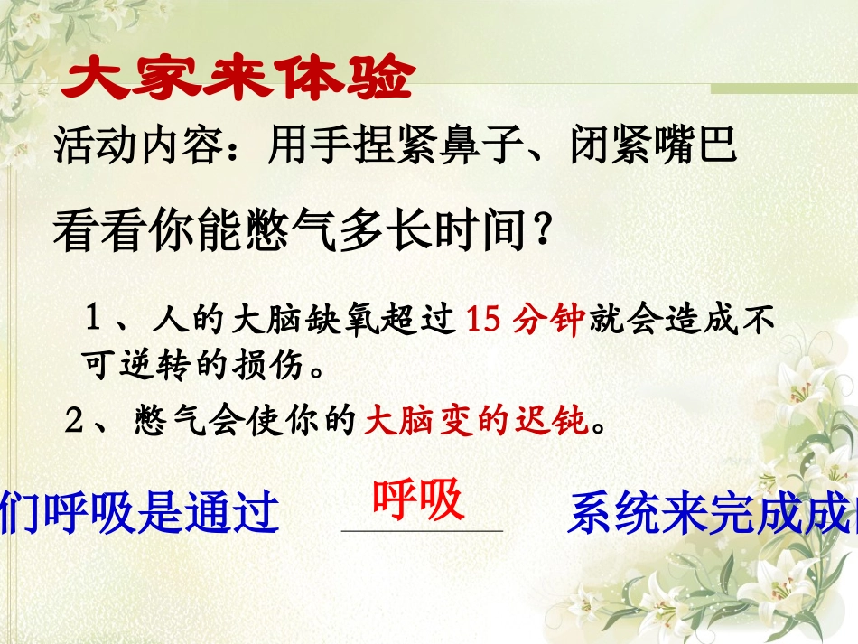 呼吸道对空气的处理_第3页