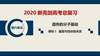 第六单元--课时3--基因与性状的关系