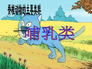 第七节哺乳动物ptt