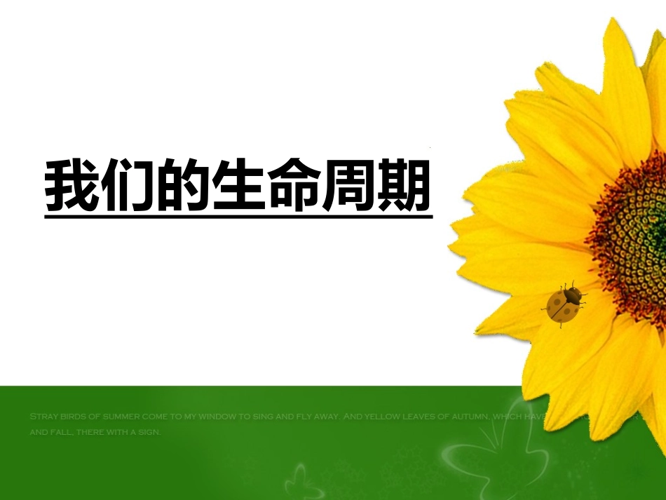 7、我们的生命周期_第2页