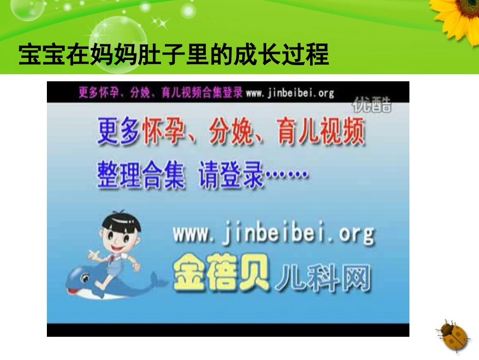 7、我们的生命周期_第3页