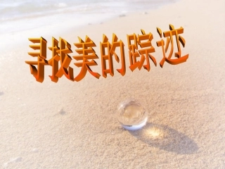 第2课寻找美的踪迹