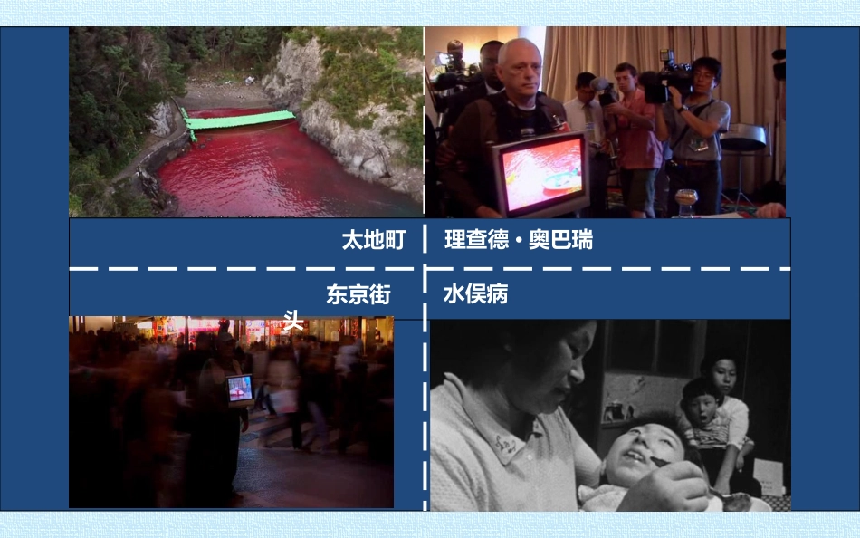 第三课做大自然的朋友_第3页