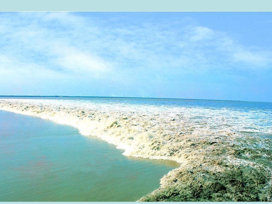 太平洋的来客_第3页