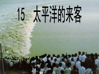 太平洋的来客