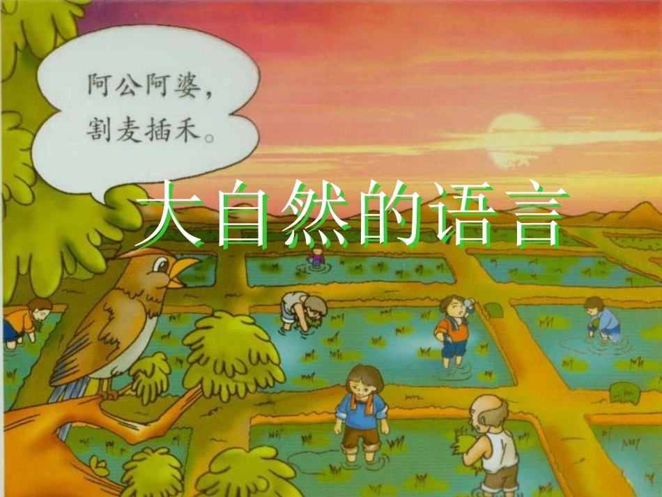 大自然的语言_第1页