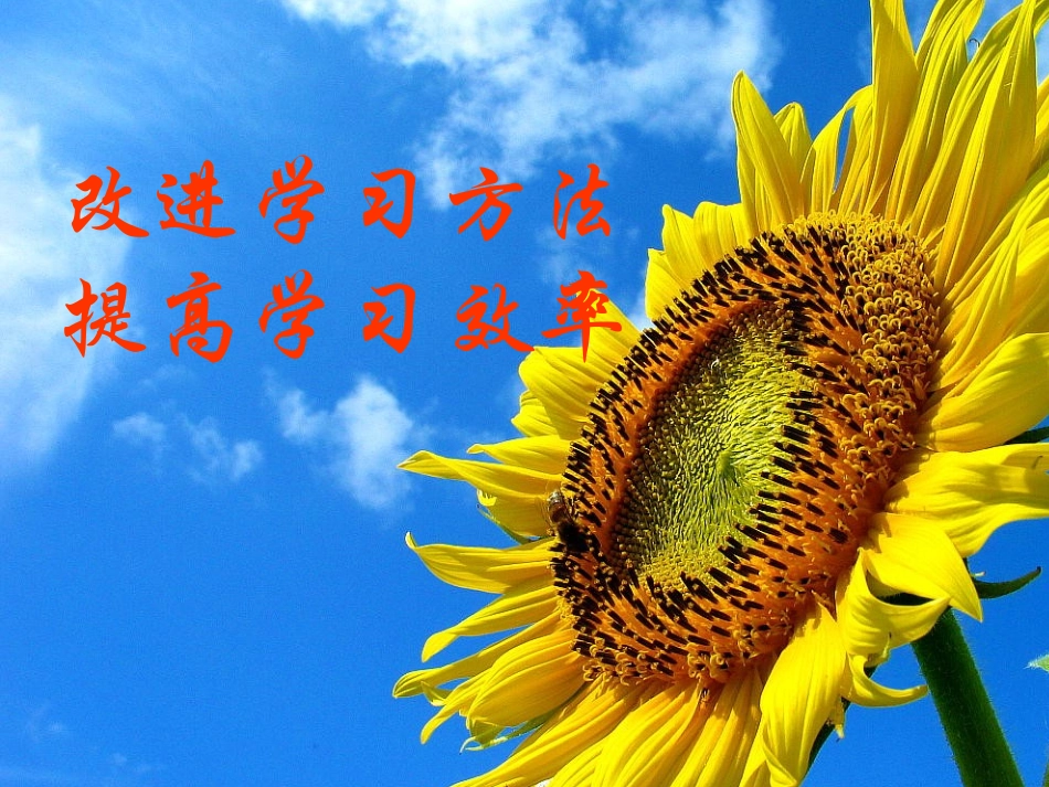 高考状元是怎样炼成的：高考状元学习经之十八(改进学习方法-提高学习效率)_第1页