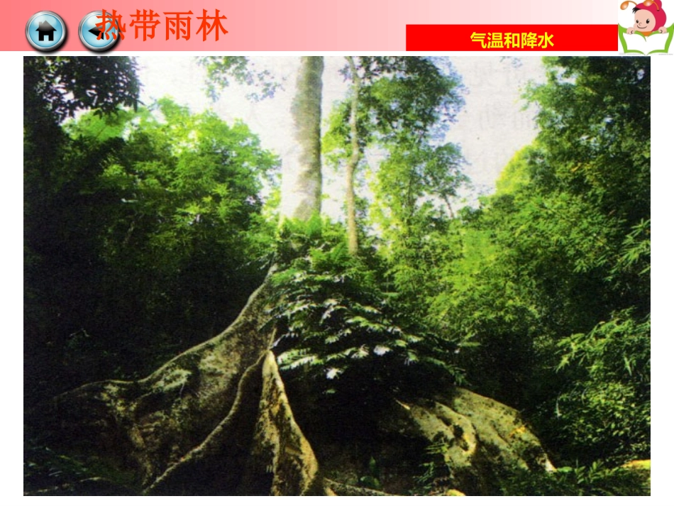 湘教版七年级上册第二节-气温和降水_第3页