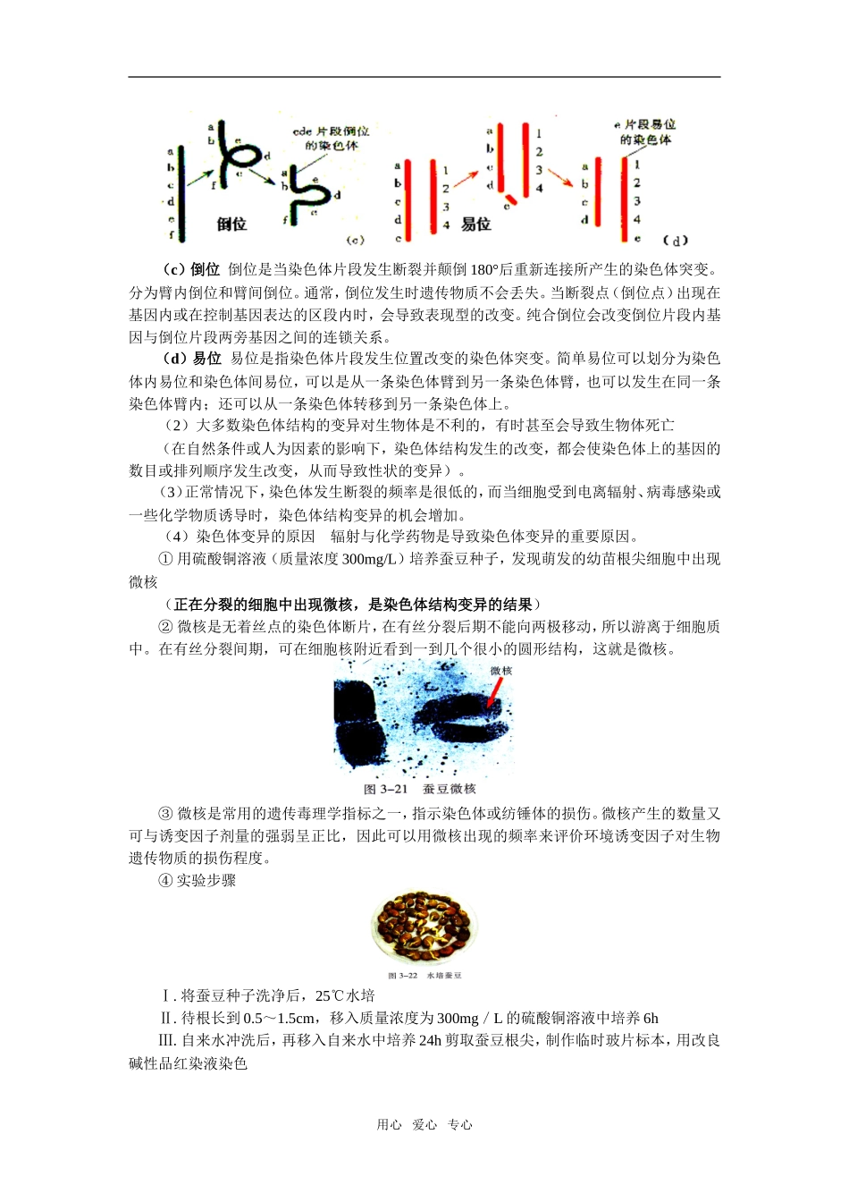 高一生物第三节-染色体的变异及其应用(一)苏教版知识精讲_第2页