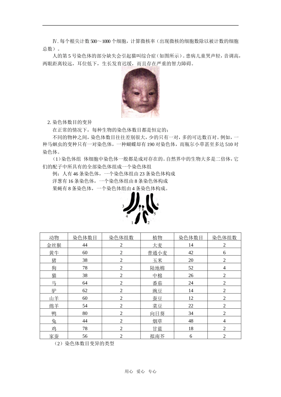 高一生物第三节-染色体的变异及其应用(一)苏教版知识精讲_第3页