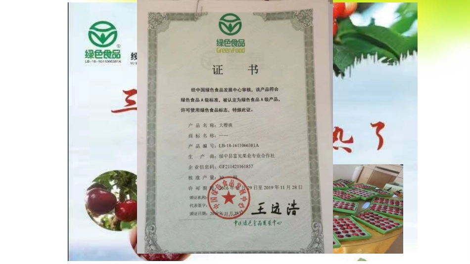 问题研究-绿色食品知多少-(3)_第2页