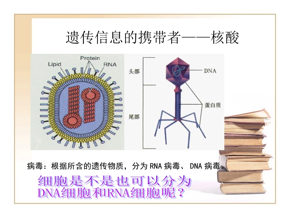 传信息的携带者——核酸_第1页