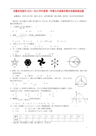 安徽省芜湖市2012-2013学年度九年级数学第一学期期末试题-新人教版
