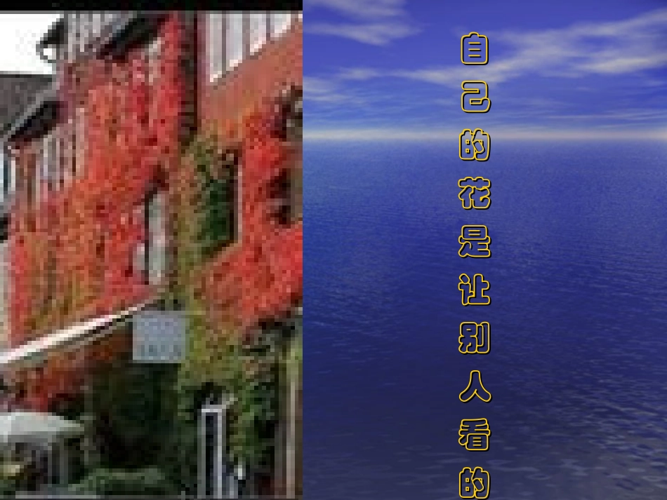 多姿多彩的世界_第2页