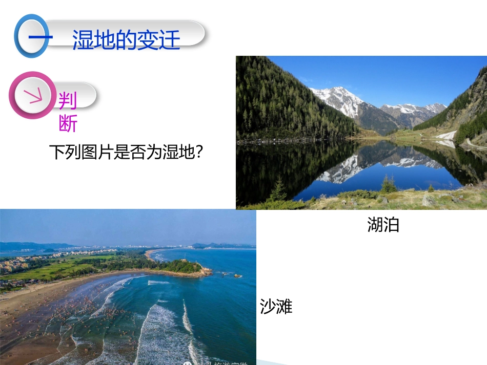 单元活动探究区域开发与整治_第3页