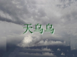 《天乌乌》课件