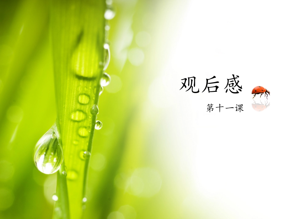 第十一课读后感_第1页