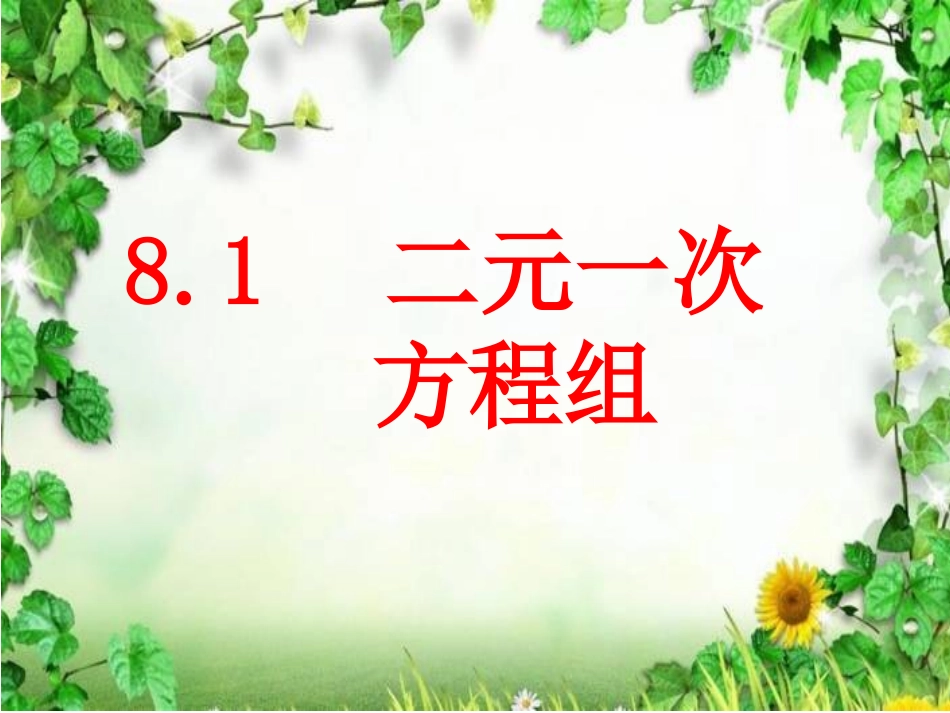 8.1-二元一次方程组--(2)_第1页