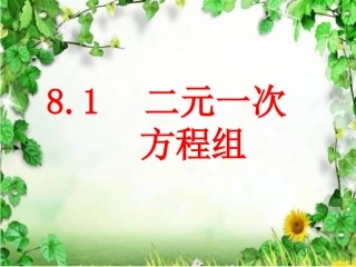 8.1-二元一次方程组--(2)