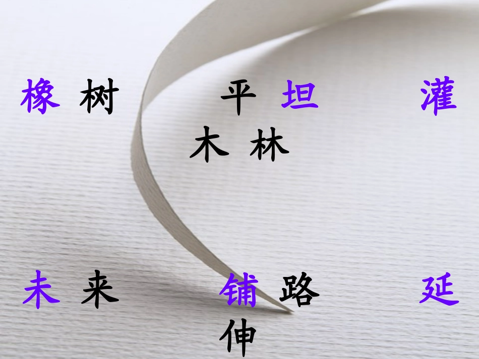 路旁的橡树课件_第3页