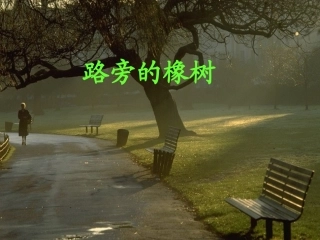 路旁的橡树课件