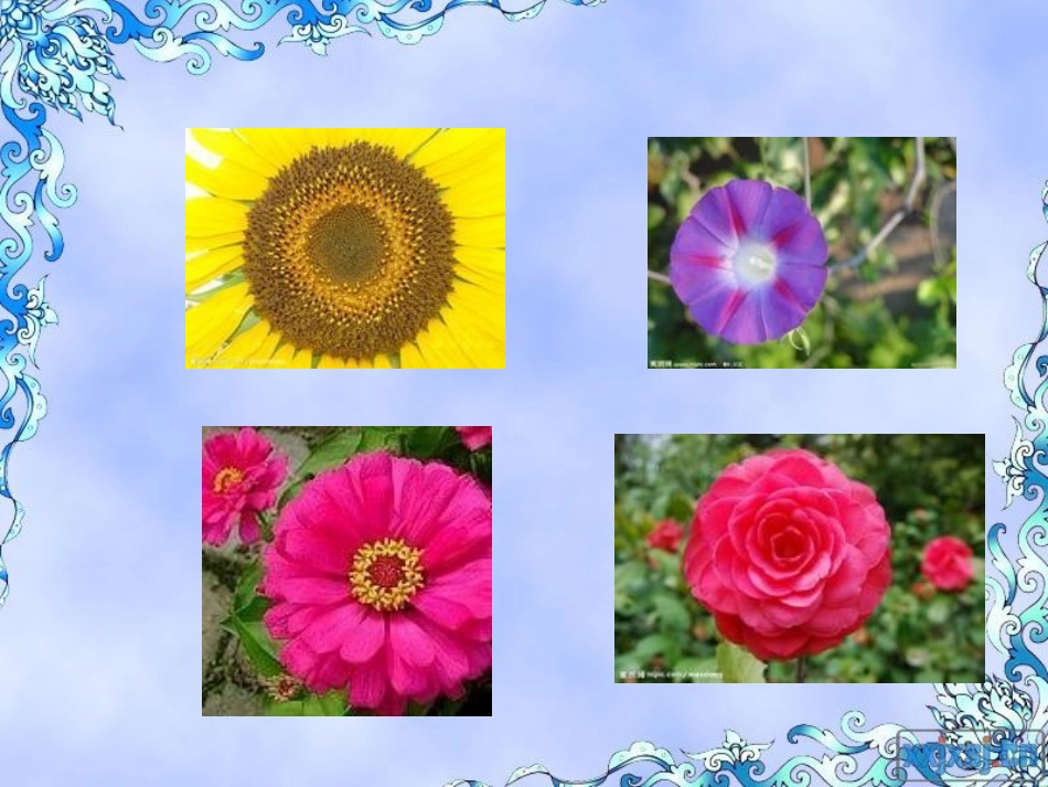 圆的认识(一)_第2页